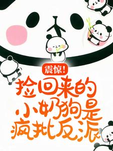 �𾪣��������С�̹��Ƿ�������