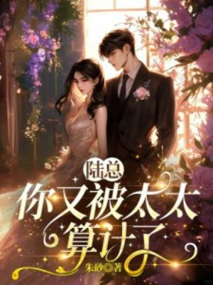 ½�ܣ����ֱ�̫̫�����