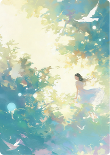 ������װ����������˰�