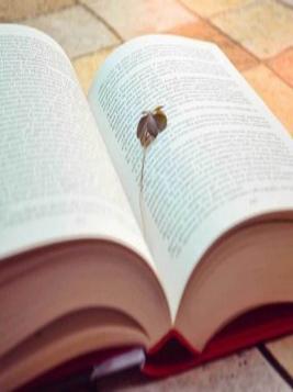 �ӱ��ڰ��ϴ�