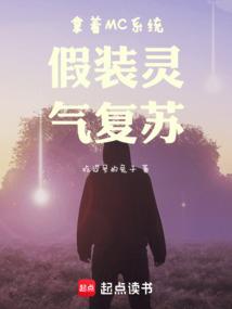 ����MCϵͳ��װ��������