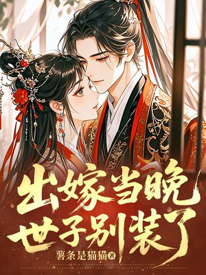 ���޵���,���ӱ�װ��